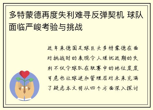 多特蒙德再度失利难寻反弹契机 球队面临严峻考验与挑战
