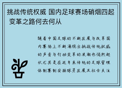 挑战传统权威 国内足球赛场硝烟四起 变革之路何去何从