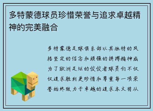 多特蒙德球员珍惜荣誉与追求卓越精神的完美融合