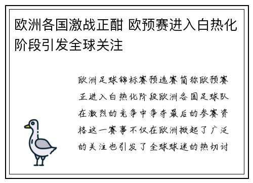 欧洲各国激战正酣 欧预赛进入白热化阶段引发全球关注